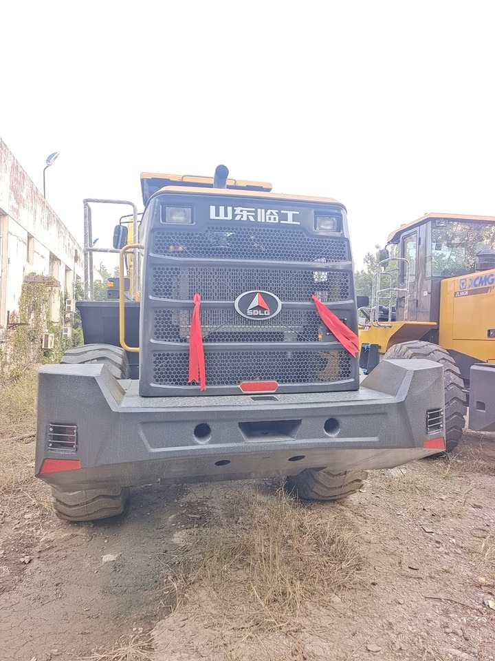 Cargadora de ruedas SDLG 956F: foto 6