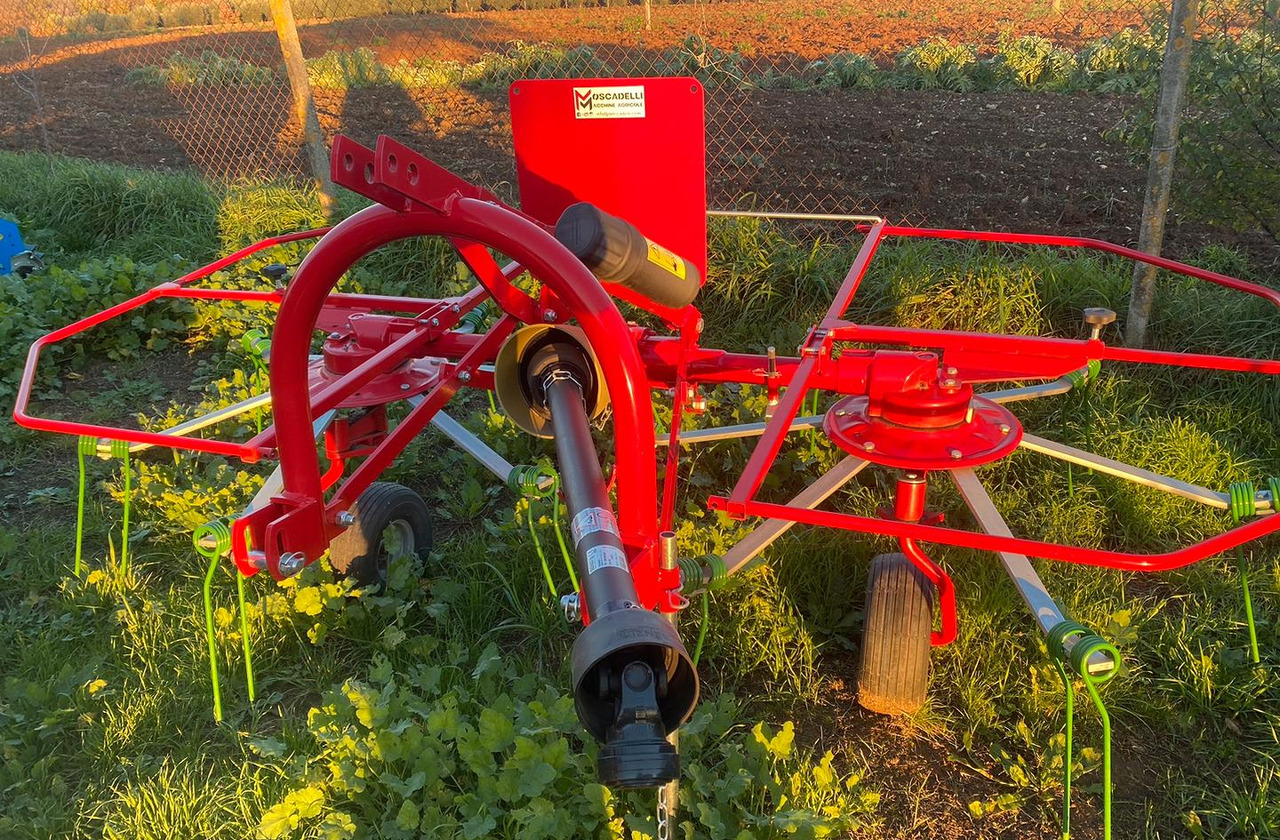 Voltafieno - Henificadora: foto 2 Voltafieno - Henificadora: foto 2