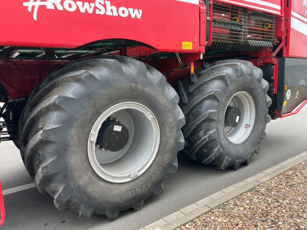 Cosechadora Grimme REXOR 630 Rüttelschar FT: foto 10