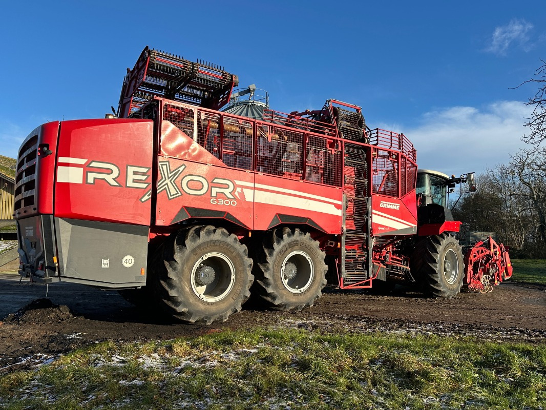 Equipo para trabajo del suelo Grimme REXOR 6300 lll: foto 19