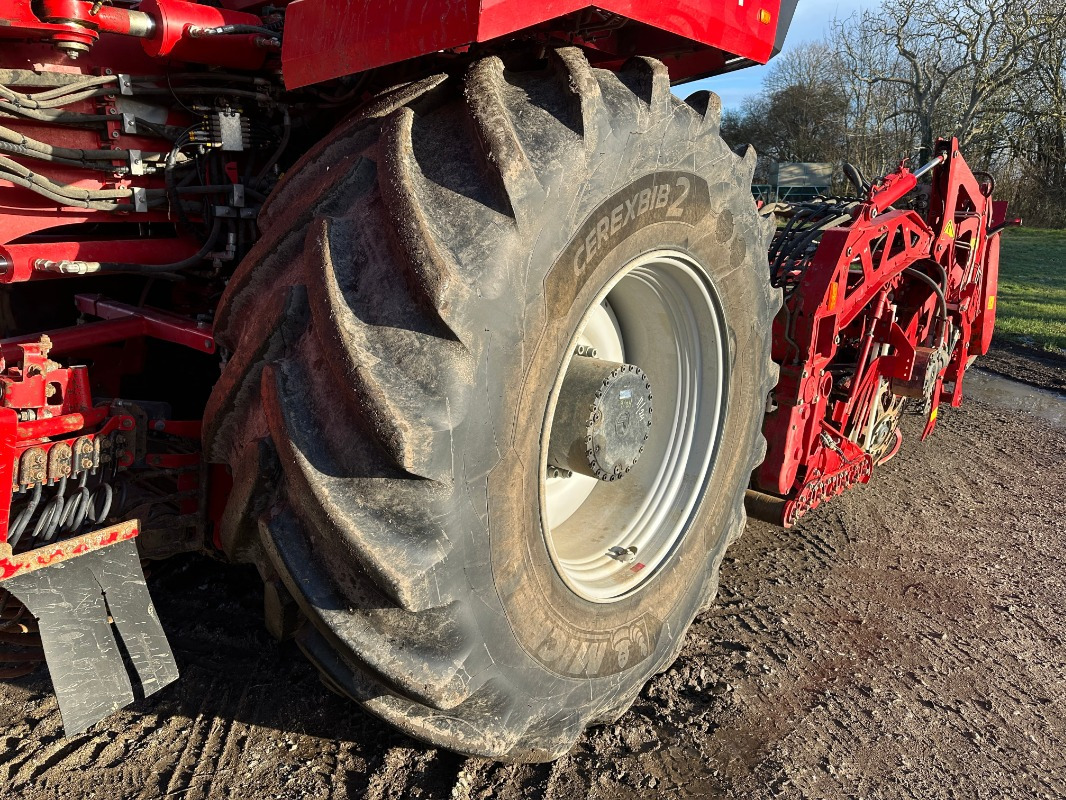 Equipo para trabajo del suelo Grimme REXOR 6300 lll: foto 6