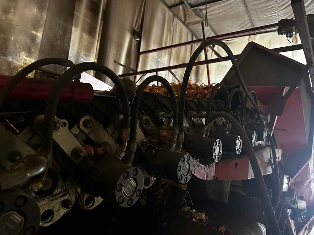 Grimme RH-24-60 - Almacenamiento: foto 2 Grimme RH-24-60 - Almacenamiento: foto 2