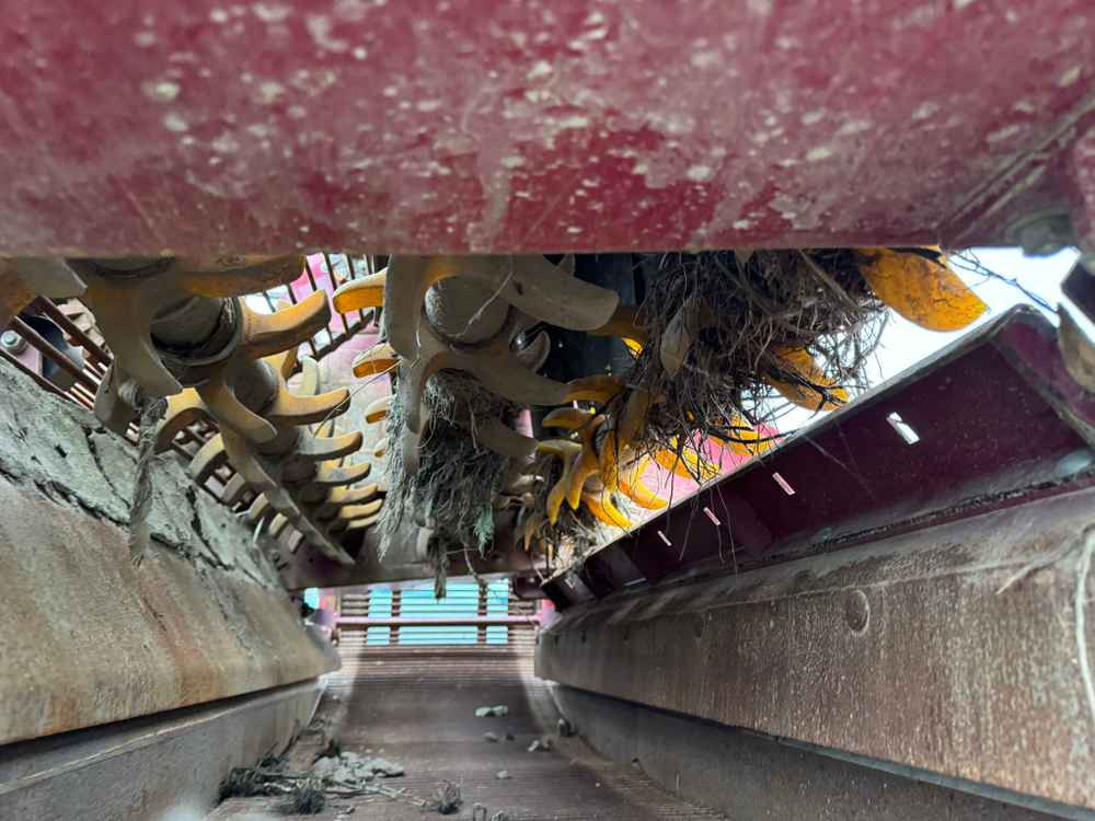 Cosechadora de patatas Scanstone 4215 WD: foto 6