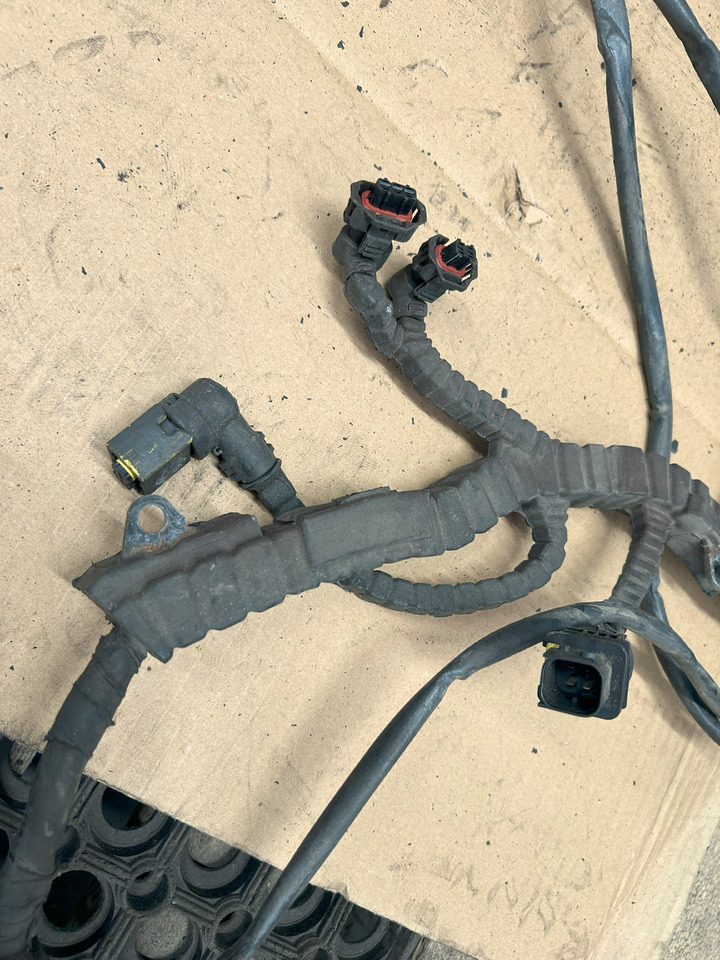 Cables/ Alambres DAF XF 106 J3C ENGINE WIRING HARNESS: foto 7 Cables/ Alambres DAF XF 106 J3C ENGINE WIRING HARNESS: foto 7