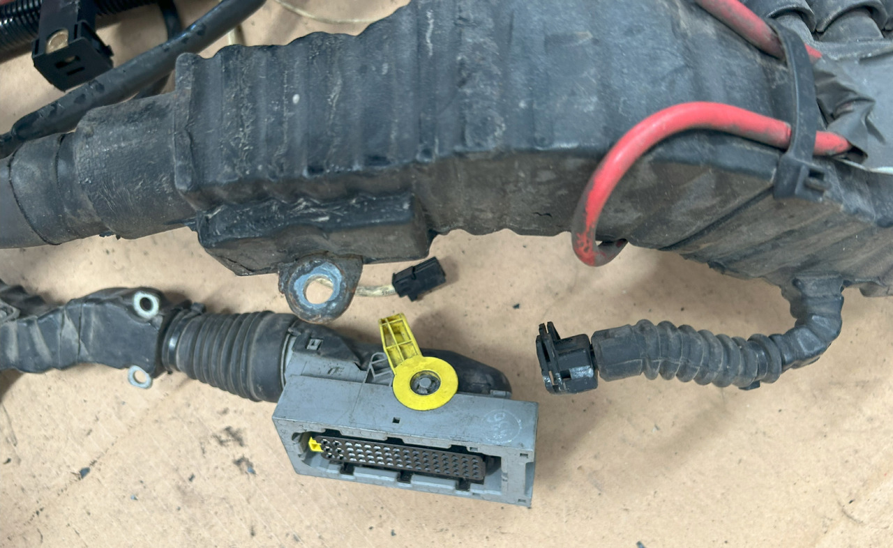 Cables/ Alambres DAF XF 106 J3C ENGINE WIRING HARNESS: foto 11 Cables/ Alambres DAF XF 106 J3C ENGINE WIRING HARNESS: foto 11