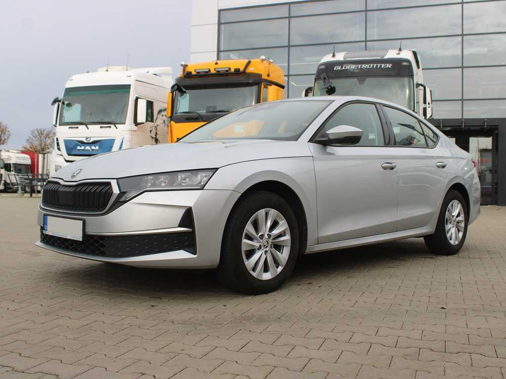 Skoda 2,0TDI 85KW SELECTION - Coche: foto 1 Skoda 2,0TDI 85KW SELECTION - Coche: foto 1