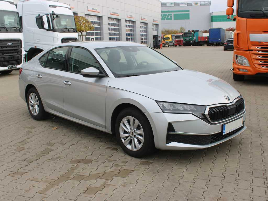 Skoda 2,0TDI 85KW SELECTION - Coche: foto 3 Skoda 2,0TDI 85KW SELECTION - Coche: foto 3