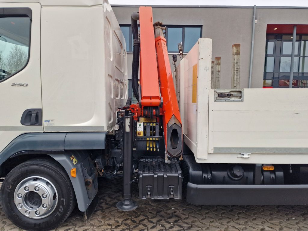 Camión grúa, Camión caja abierta DAF LF 250FA / Palfinger PK8501A DAF LF 250FA / Palfinger PK8501A / KRAN: foto 11