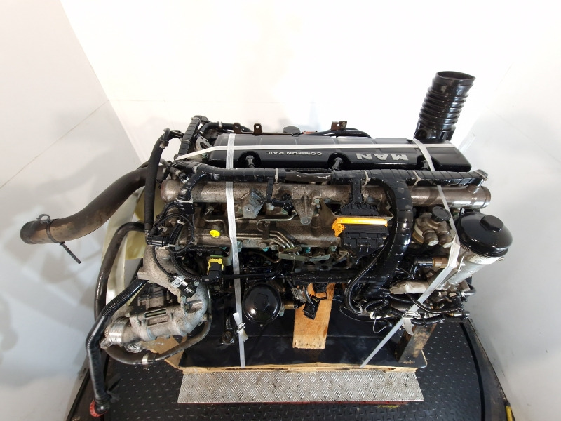 Motor para Camión MAN  D0836 LFL79 Engine (Truck): foto 10