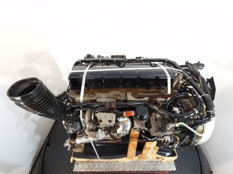 Motor para Camión MAN  D0836 LFL79 Engine (Truck): foto 11