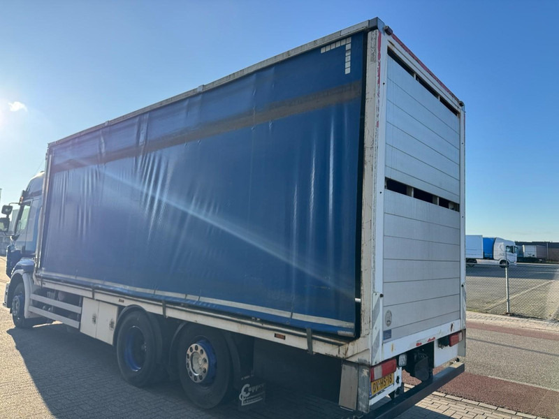 Arrendamiento de Renault Premium 410.26, Chicken, Hühner, Kippen, Galinhas Renault Premium 410.26, Chicken, Hühner, Kippen, Galinhas: foto 9