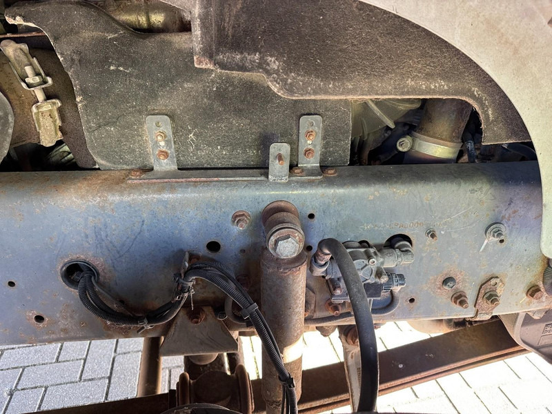 Arrendamiento de Renault Premium 410.26, Chicken, Hühner, Kippen, Galinhas Renault Premium 410.26, Chicken, Hühner, Kippen, Galinhas: foto 12