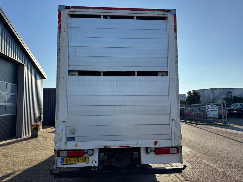 Arrendamiento de Renault Premium 410.26, Chicken, Hühner, Kippen, Galinhas Renault Premium 410.26, Chicken, Hühner, Kippen, Galinhas: foto 8