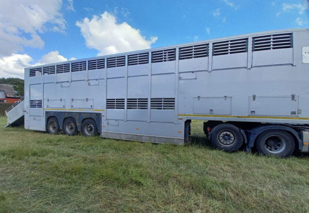 Gray and Adams Gadd3 / Works Great / Hydraulic / 2 Levels - Semirremolque transporte de ganado: foto 2 Gray and Adams Gadd3 / Works Great / Hydraulic / 2 Levels - Semirremolque transporte de ganado: foto 2