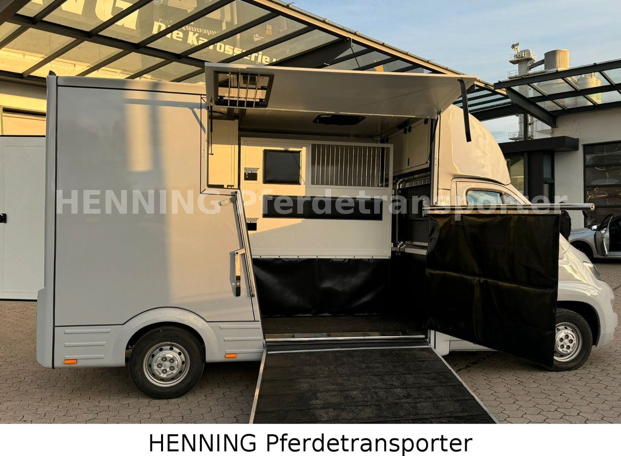 Citroën Jumper 3 - Sitzer - Camión transporte de ganado: foto 4 Citroën Jumper 3 - Sitzer - Camión transporte de ganado: foto 4