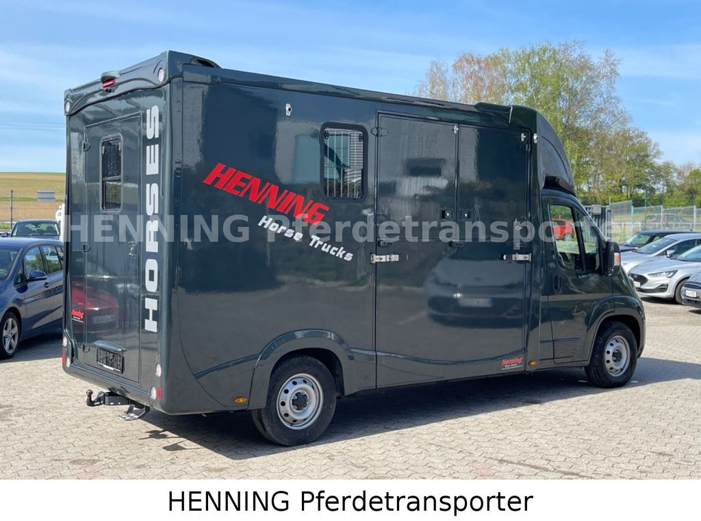 Fiat Ducato 3 - Sitzer *VORFÜHRUNGSFAHRZEUG* - Camión para caballos: foto 4 Fiat Ducato 3 - Sitzer *VORFÜHRUNGSFAHRZEUG* - Camión para caballos: foto 4
