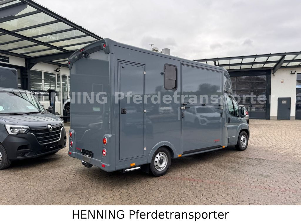 Fiat Ducato *NEUWAGEN* ca.1100 kg Nutzlast - Camión para caballos: foto 2 Fiat Ducato *NEUWAGEN* ca.1100 kg Nutzlast - Camión para caballos: foto 2