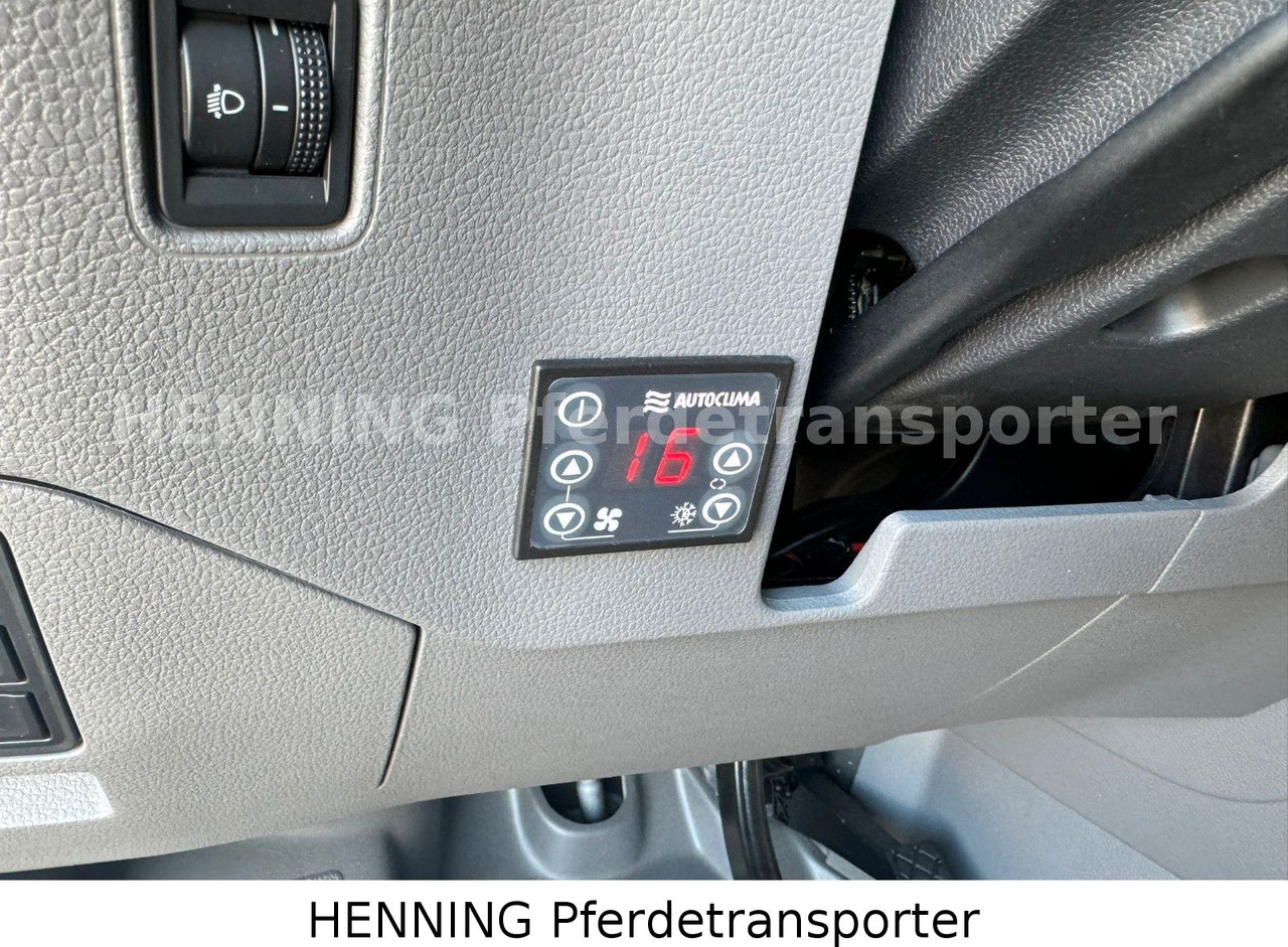 Camión transporte de ganado MAN TGE 3 - Sitzer *KLIMA PFERDEABTEIL*: foto 16