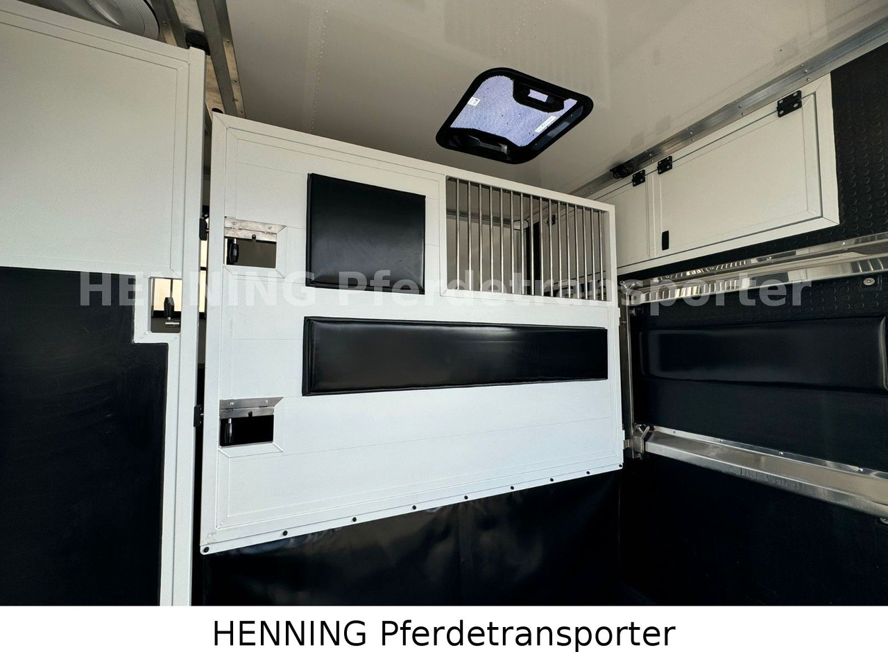 Renault Master 3 - Sitzer *NEUES MODELL* - Camión transporte de ganado: foto 5 Renault Master 3 - Sitzer *NEUES MODELL* - Camión transporte de ganado: foto 5