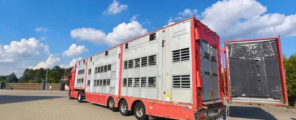 Pezzaioli 2017 / 3 POZIOMY / TRANSPORT ZWIERZĄT / HYDRAULIKA / STEROWANIE PILOTEM/ PODNOSZONY DACH / - Semirremolque transporte de ganado: foto 1 Pezzaioli 2017 / 3 POZIOMY / TRANSPORT ZWIERZĄT / HYDRAULIKA / STEROWANIE PILOTEM/ PODNOSZONY DACH / - Semirremolque transporte de ganado: foto 1