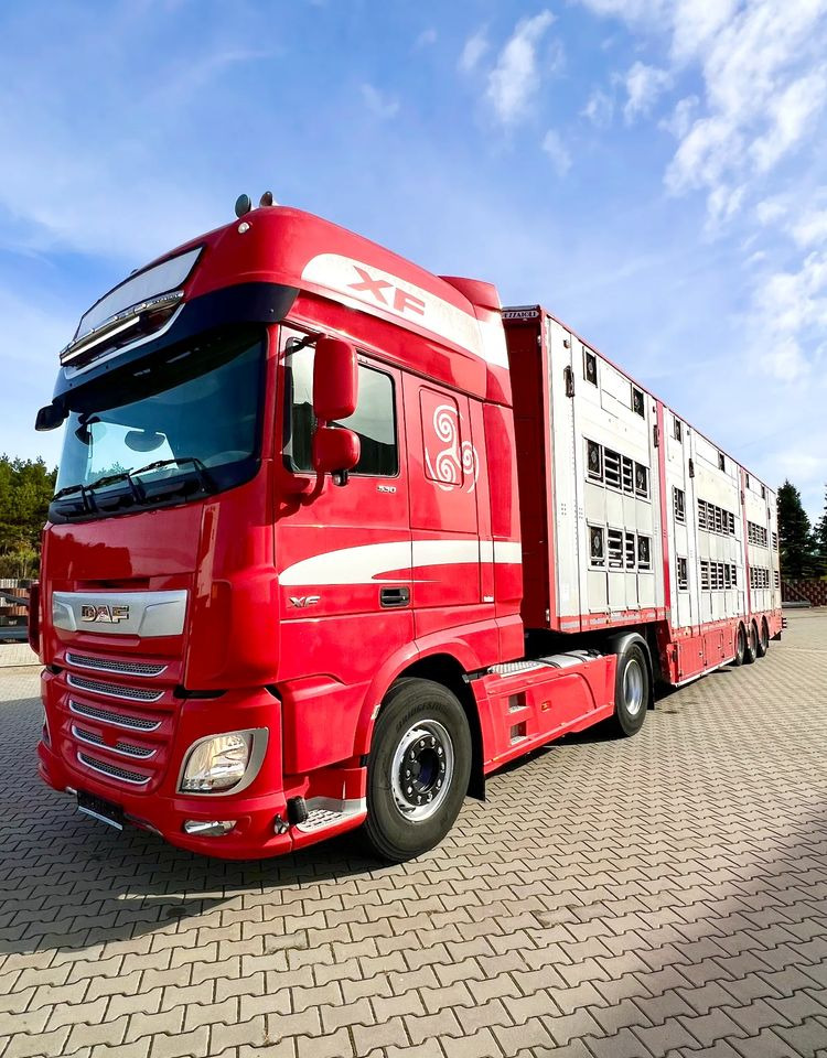 Pezzaioli NACZEPA 2017 / 3 POZIOMY / TRANSPORT ZWIERZĄT / HYDRAULIKA / STEROWANIE PILOTEM/ PODNOSZONY DACH / - Semirremolque transporte de ganado: foto 5 Pezzaioli NACZEPA 2017 / 3 POZIOMY / TRANSPORT ZWIERZĄT / HYDRAULIKA / STEROWANIE PILOTEM/ PODNOSZONY DACH / - Semirremolque transporte de ganado: foto 5