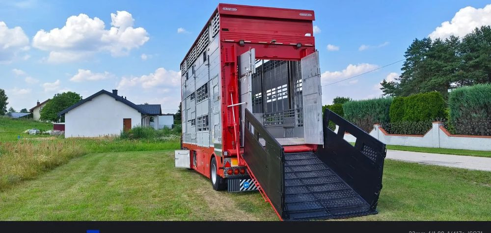 Pezzaioli RBA22 Dwuosiowa Przyczepa – 2x Bydło, 3x Trzoda – 2017r – Bezwypadkowa! - Remolque transporte de ganado: foto 1 Pezzaioli RBA22 Dwuosiowa Przyczepa – 2x Bydło, 3x Trzoda – 2017r – Bezwypadkowa! - Remolque transporte de ganado: foto 1