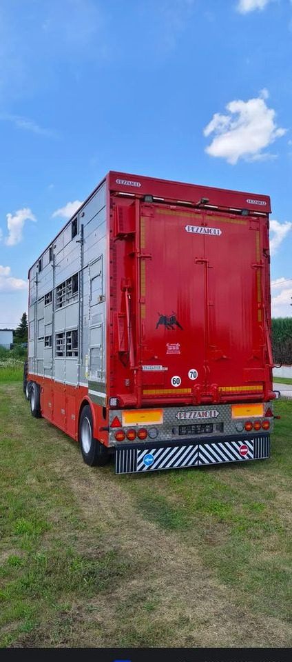 Pezzaioli RBA22 Dwuosiowa Przyczepa – 2x Bydło, 3x Trzoda – 2017r – Bezwypadkowa! - Remolque transporte de ganado: foto 5 Pezzaioli RBA22 Dwuosiowa Przyczepa – 2x Bydło, 3x Trzoda – 2017r – Bezwypadkowa! - Remolque transporte de ganado: foto 5