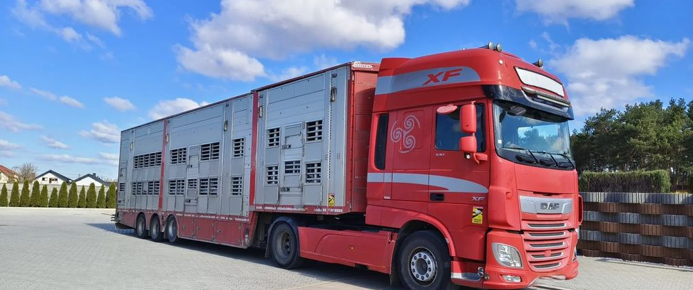 Pezzaioli SBA32/hydrauliczny dach/hydrauliczna rampa/ 3 poziomy/ 2xbydło -3xtrzoda/wentylatory/poidła/sterowanie pilotem - Semirremolque transporte de ganado: foto 1 Pezzaioli SBA32/hydrauliczny dach/hydrauliczna rampa/ 3 poziomy/ 2xbydło -3xtrzoda/wentylatory/poidła/sterowanie pilotem - Semirremolque transporte de ganado: foto 1