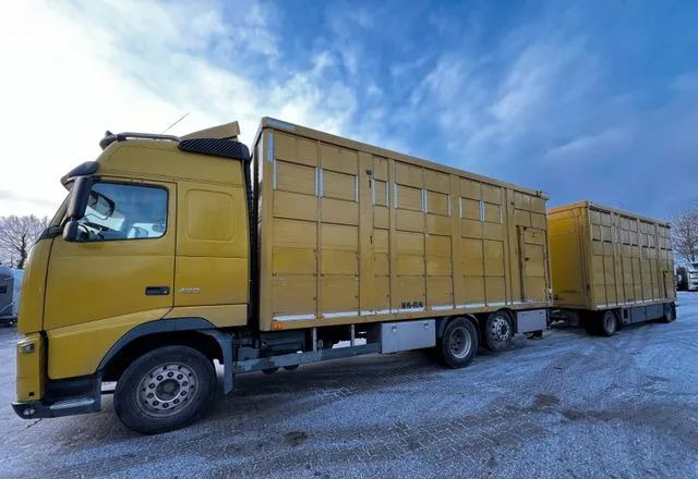 Volvo FH 420 • KABA • Transport Zwierząt 3xŚwinie/ 2xBydło 3-piętrowy • Euro 5 • Retarder • Oś podnoszona i skrętna - Camión transporte de ganado: foto 1 Volvo FH 420 • KABA • Transport Zwierząt 3xŚwinie/ 2xBydło 3-piętrowy • Euro 5 • Retarder • Oś podnoszona i skrętna - Camión transporte de ganado: foto 1