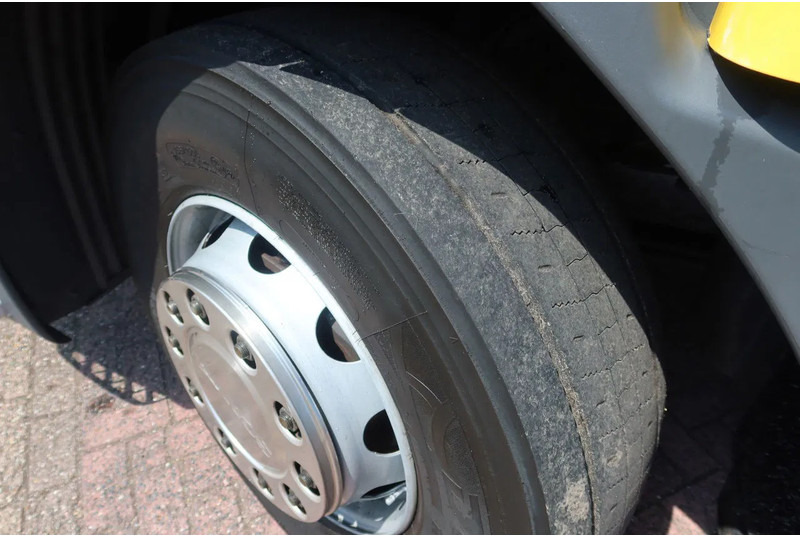 Camión caja cerrada Scania P250 4x2 Bakwagen+Klep E6 Dhollandia 1500 kg: foto 12