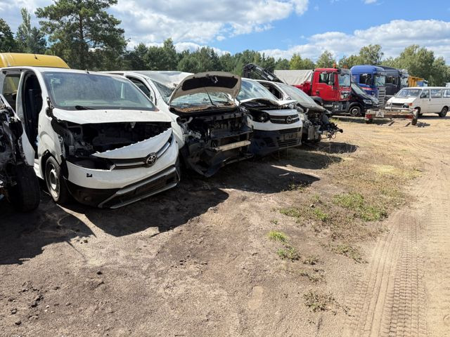 Toyota Proace L1 Kasten Meister ERSATZTEILENSPENDER - Furgoneta pequeña: foto 3 Toyota Proace L1 Kasten Meister ERSATZTEILENSPENDER - Furgoneta pequeña: foto 3