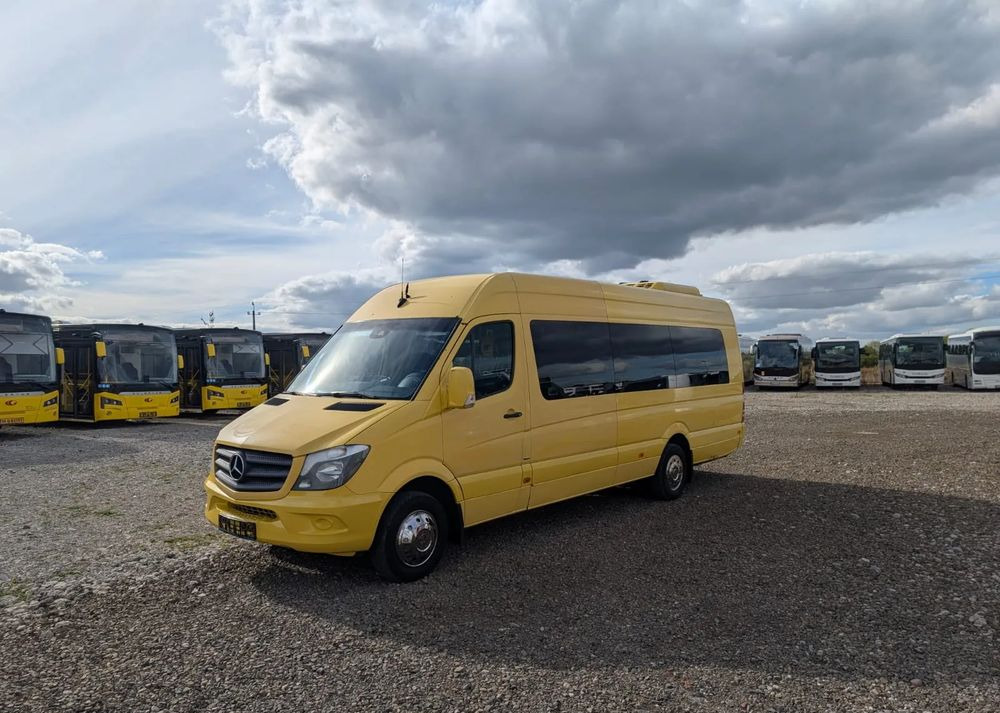Minibús, Furgoneta de pasajeros Mercedes-Benz Sprinter 519: foto 10
