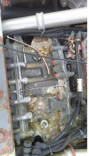 Renault Premium 420 Dci Engine + Automatic Gearbox - Motor para Camión: foto 5 Renault Premium 420 Dci Engine + Automatic Gearbox - Motor para Camión: foto 5