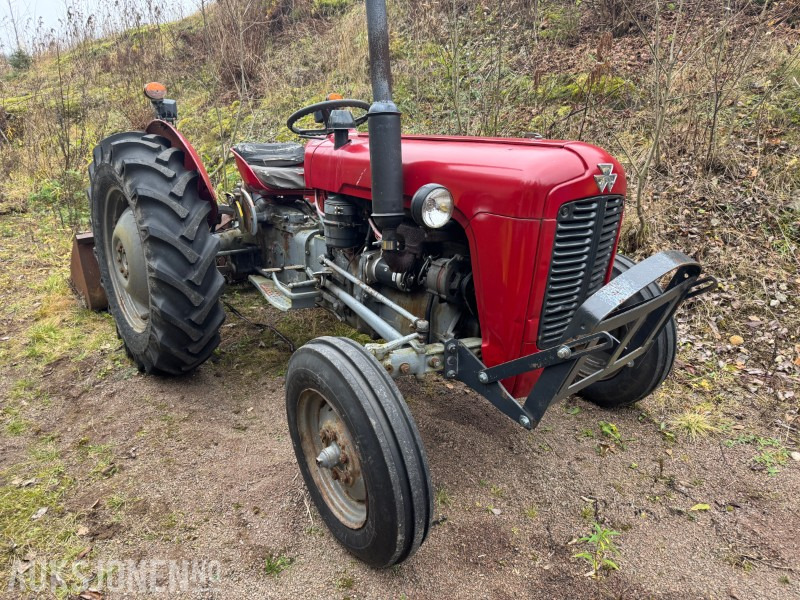 Tractor 1959 Massey Ferguson Traktor: foto 1