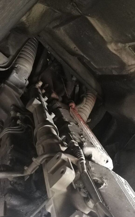 DAF XE 315 C1 DAF XF - Motor para Camión: foto 1 DAF XE 315 C1 DAF XF - Motor para Camión: foto 1