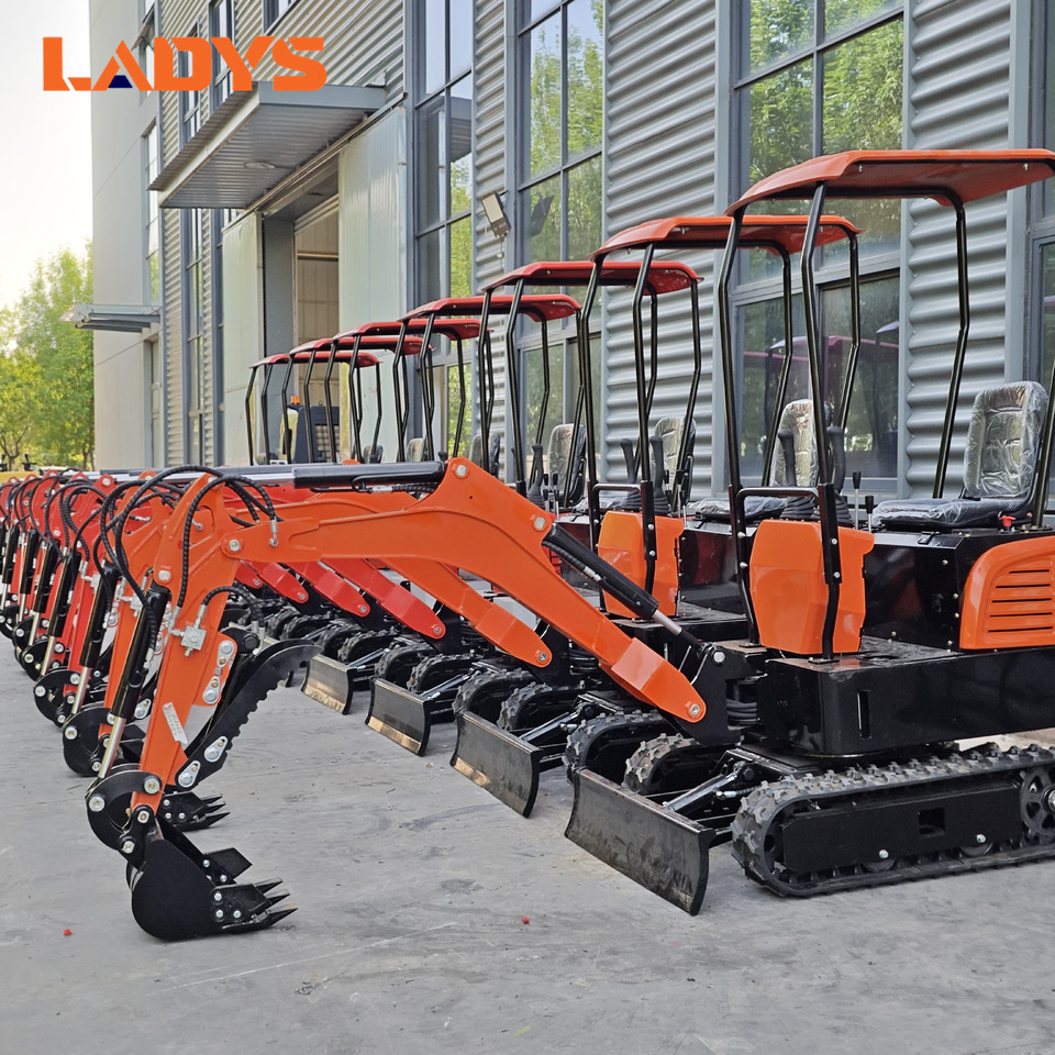 LADYS Mini Excavator CE Certification Kubota Engine(Factory Outlet) Mini Pelle Minibagger Minikoparka Miniexcavadora - Miniexcavadora: foto 1 LADYS Mini Excavator CE Certification Kubota Engine(Factory Outlet) Mini Pelle Minibagger Minikoparka Miniexcavadora - Miniexcavadora: foto 1