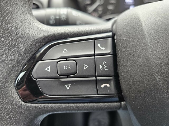 Arrendamiento de FIAT Ducato MAXI Serie10-9.2 2025 Pritsche sofort FIAT Ducato MAXI Serie10-9.2 2025 Pritsche sofort: foto 32