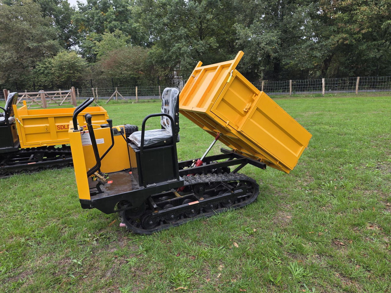 Dúmper sdlool sdld 25 mini dumper: foto 10
