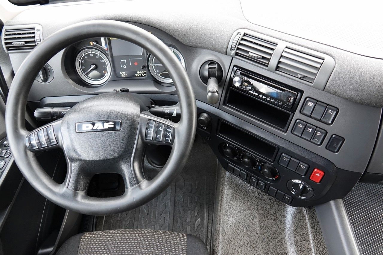 Cabeza tractora DAF CF 460 / AUTOMAT / EURO 6 / SPROWADZONY: foto 14