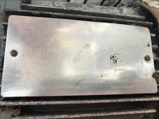 NNP Stainless conveyor - Transportador: foto 4 NNP Stainless conveyor - Transportador: foto 4