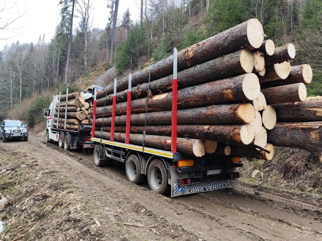 SCANIA R560 V8 - Camión forestal, Camión grúa: foto 5 SCANIA R560 V8 - Camión forestal, Camión grúa: foto 5