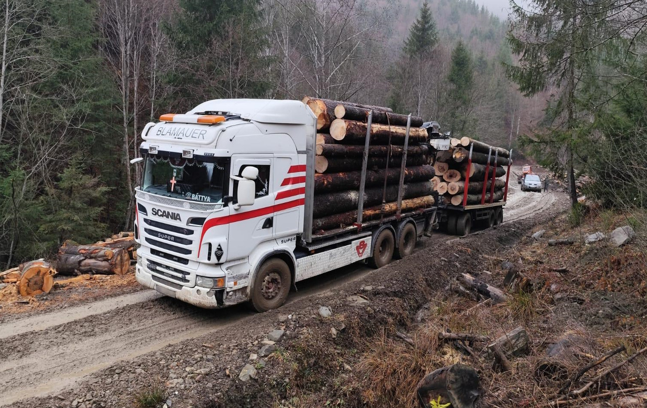 SCANIA R560 V8 - Camión forestal, Camión grúa: foto 2 SCANIA R560 V8 - Camión forestal, Camión grúa: foto 2