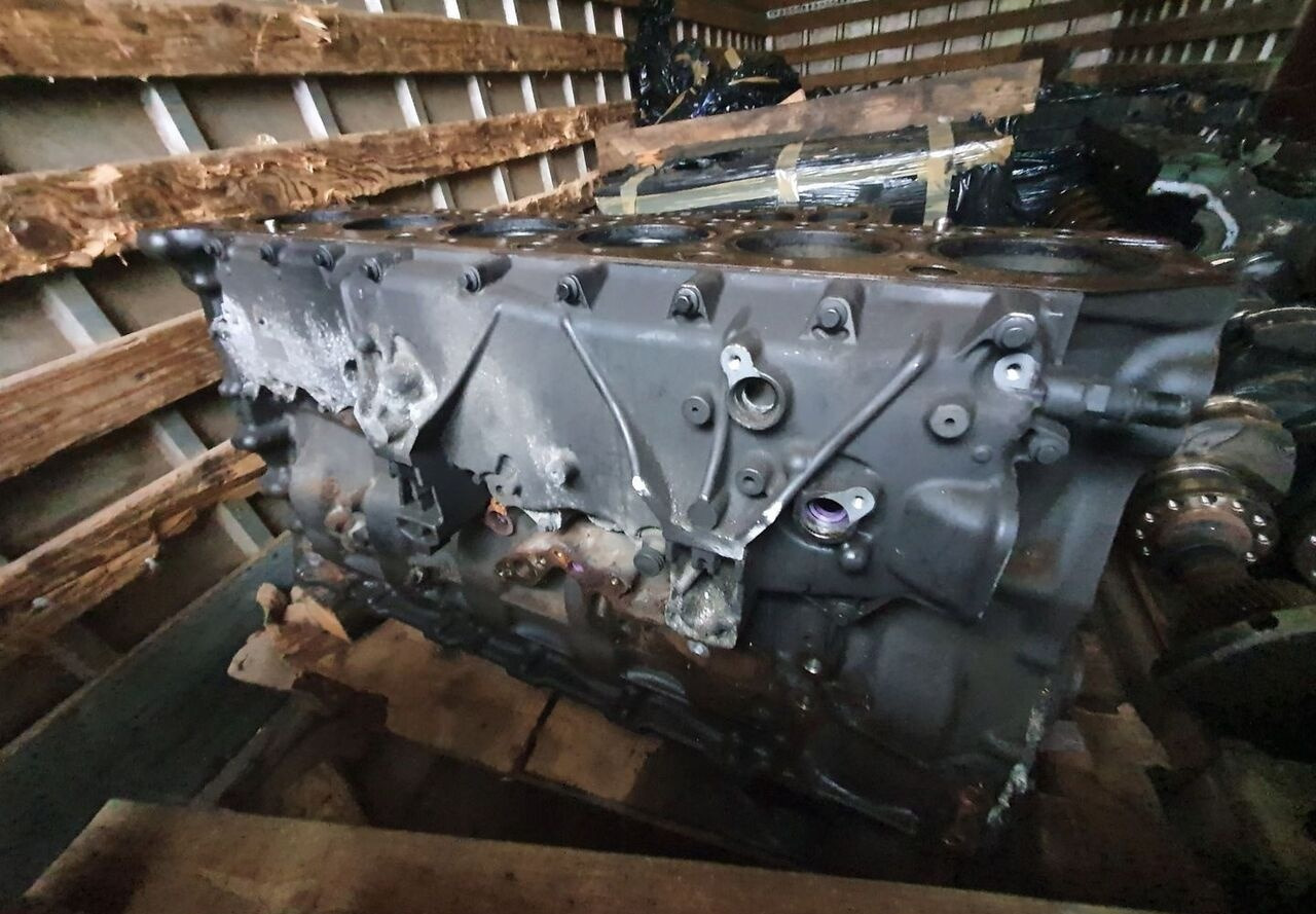 RENAULT BLOK SILNIKA SŁUPEK TŁOKI WAŁ RENAULT GAMA RANGE T DTI11 460 430 - Bloque de cilindros para Camión: foto 1 RENAULT BLOK SILNIKA SŁUPEK TŁOKI WAŁ RENAULT GAMA RANGE T DTI11 460 430 - Bloque de cilindros para Camión: foto 1