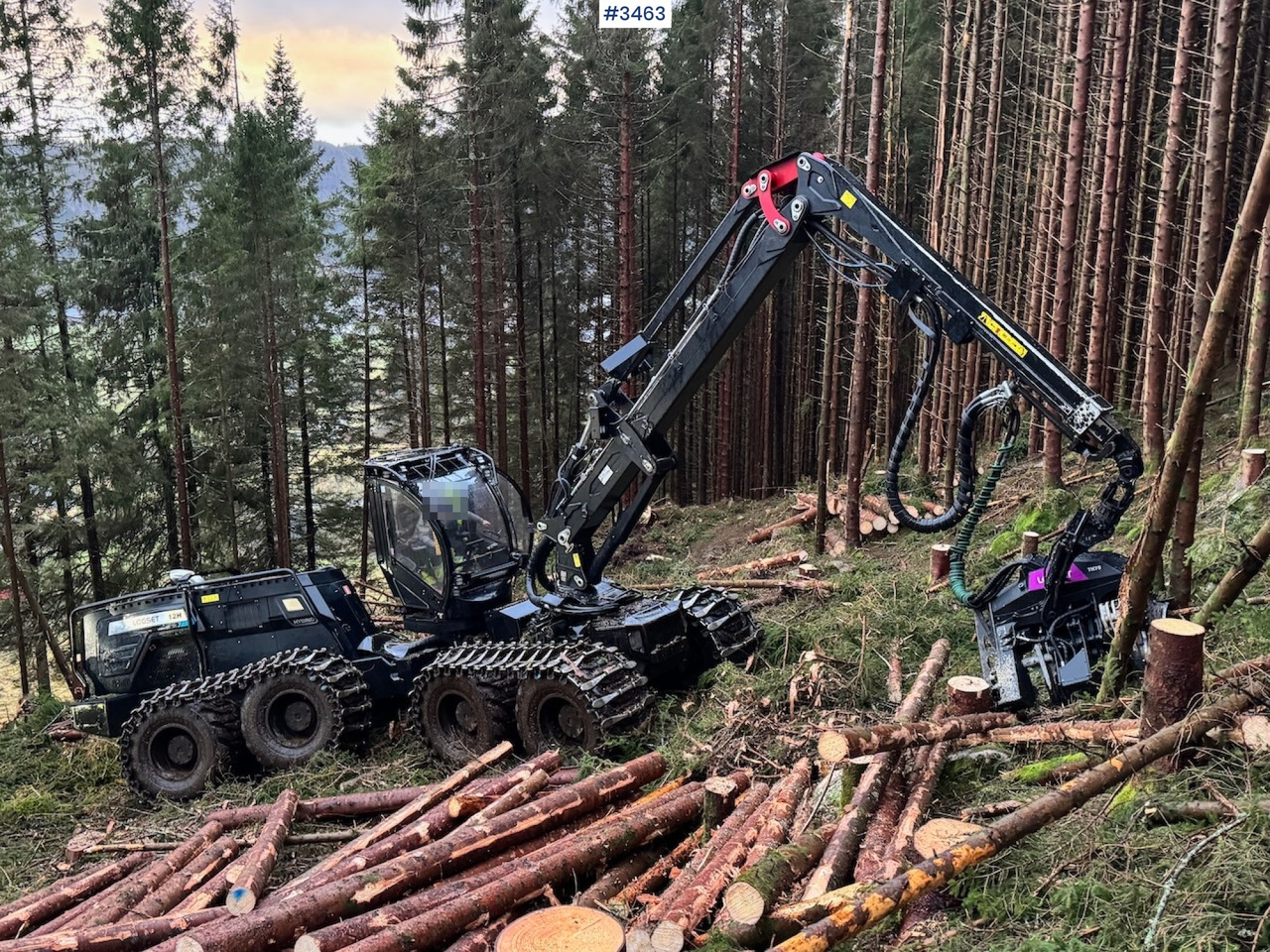 2022 Logset 12H GTE - Procesadora forestal: foto 3 2022 Logset 12H GTE - Procesadora forestal: foto 3