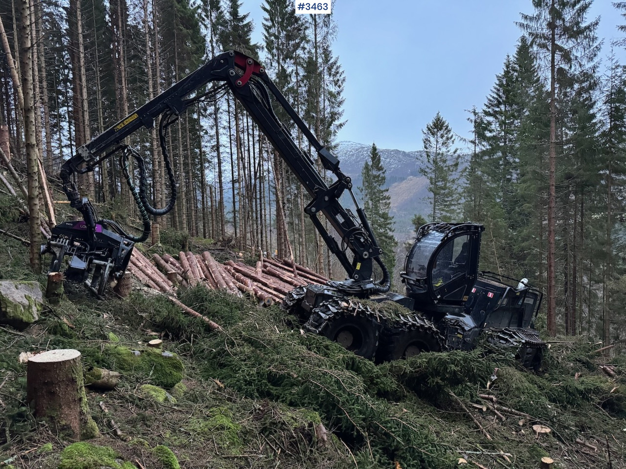 2022 Logset 12H GTE - Procesadora forestal: foto 5 2022 Logset 12H GTE - Procesadora forestal: foto 5