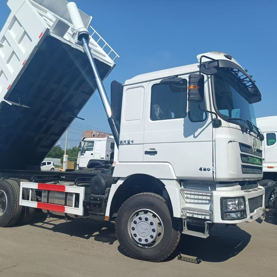 Camión volquete SHACMAN F3000: foto 7