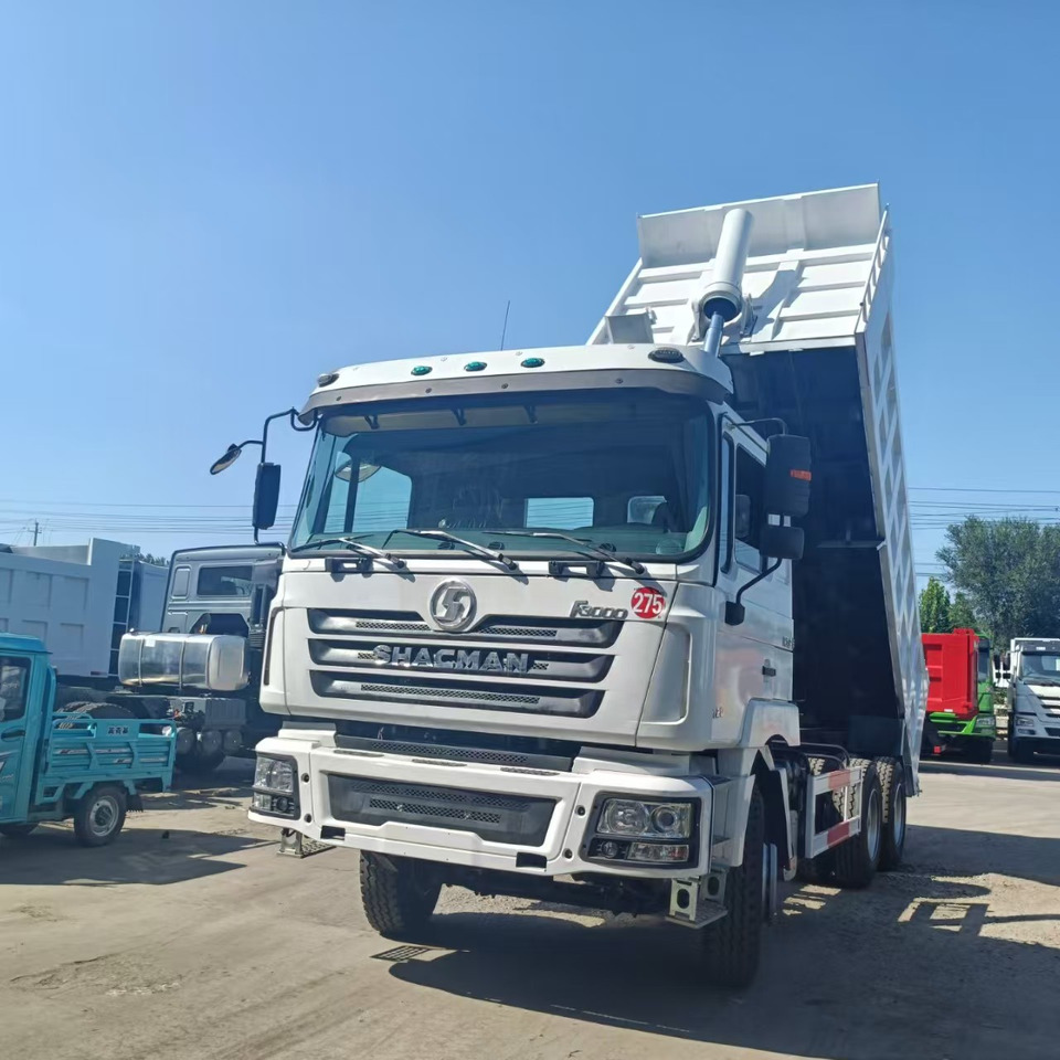Camión volquete SHACMAN F3000: foto 6