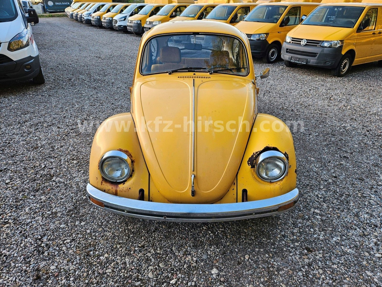 Volkswagen Käfer Sunny Bug Sondermodell 2.Hand - Berlina: foto 5 Volkswagen Käfer Sunny Bug Sondermodell 2.Hand - Berlina: foto 5