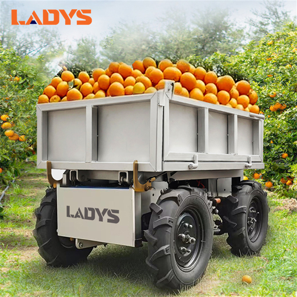 LADYS Electric Remote Control Transporter Agricultural Orchard Farm Electric Utv Material Handling Equipment All Terrain Transport Vehicle - Cuadrimoto: foto 1 LADYS Electric Remote Control Transporter Agricultural Orchard Farm Electric Utv Material Handling Equipment All Terrain Transport Vehicle - Cuadrimoto: foto 1