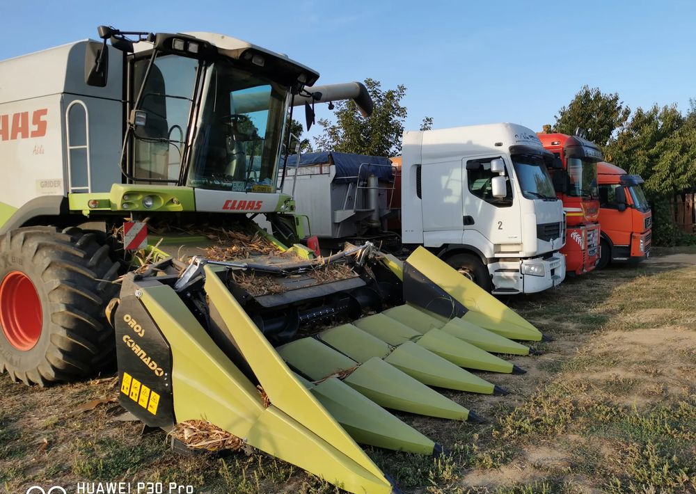 Oros Cornado 6 4+2R Nowa Przystawka do kukurydzy - Cabezal de maíz: foto 3 Oros Cornado 6 4+2R Nowa Przystawka do kukurydzy - Cabezal de maíz: foto 3